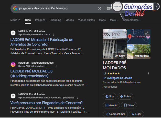 Resultado de uma pesquisa Google do meu serviço